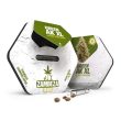 green-ak-xl-autoflowering