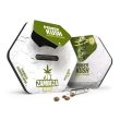 power-kush-autoflowering