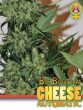 Big Buddha Seeds - Auto Cheese aka Cheese Automatic Feminised Autoflowering Cannabis Seeds
