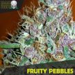 black-skull-seeds-fruity-pebbles-feminised-cannabis-seeds