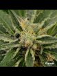 flavour-chasers-wedding-cake-fem-main