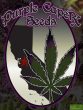 Purple Caper Seeds - Granddaddy Purple BX Regular Cannabis Seeds