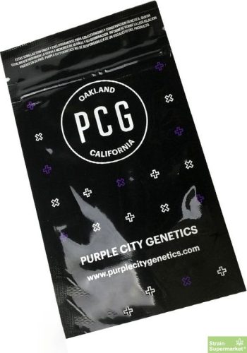 Purple City Genetics - DoSiDos x Watermelon Zkittlez - Feminized Cannabis Seeds
