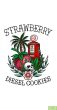 strawberry-diesel-cookies-regular-cannabis-seeds-by-oni-seed-co