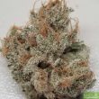 tropicanna-kush-regular-cannabis-seeds-by-oni-seed-co-3