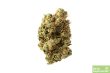 super-silver-monster-feminized-cannabis-seeds-2