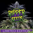 ripper-seeds-limited-edition-gelato-acaiberry-x-animal-cookies-feminized-seeds
