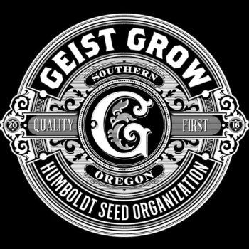 Geist Grow - Banana Ghost - 10 Feminized Cannabis Seeds