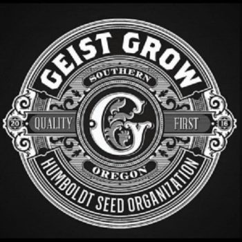 Geist Grow - 31 Ghosts - 12 Regular Cannabis Seeds