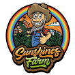Sunshines Farm - God Bud - Regular Cannabis Seeds