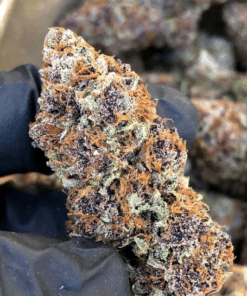 forbidden fruit seeds forbidden fruit strain seeds