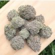buy-white-rhino-feminized-cannabis-seeds