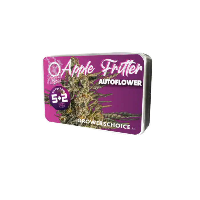 apple-fritter-auto-cannabis-seeds-growers-choice-seeds apple fritter auto seeds by growers choice
