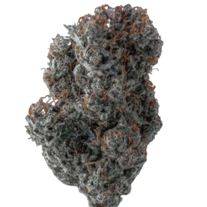 applez-and-bananaz-growers-choice-seeds applez and bananaz feminized seeds by growers choice