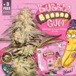 bubble-banana-gum-weed-strain-th-seeds