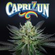 capri-zun-weed-seed-perfect-tree-seeds