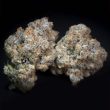 paradise-seeds-caramba-cannabis-seeds