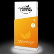 cbdenergy-weed-cannabis-seed-paradise-seeds