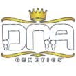dna-genetics-cataract-kush 1