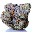 fabulozo-starfire-genetix-cannabis-seeds