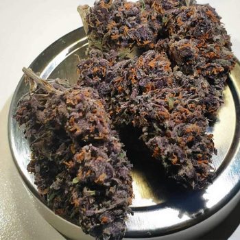 Forbidden Nectar Female Weed Seeds by Zmoothiez