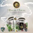 hazanana-weed-seeds-t-h-seeds
