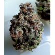 jelly-donuts-female-weed-seed-holy-smoke-seeds