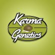 karma-genetics-shipera-sour-regular-cannabis-seeds