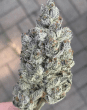 Marshmallow OG Feminized – Compound Genetics