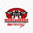 crypto-cannabis-seeds-mosca