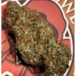 night-owl-auto-spice-melange-cannabis-seeds