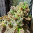 pancake-n-ice-cream-cannabis-seed-holy-smoke-seeds
