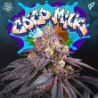 perfect-tree-seeds-coco-milk-regular-cannabis-strain_1_