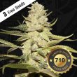 planet-lemon-female-cannabis-seed-th-seeds