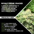 royale-creeme-cracker-by-pakalolo-seed