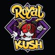 royal-kush-x