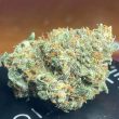sirius-blue-auto-night-owl-cannabis-seeds