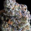 starfire-genetix-purple-pop-rocks-feminized-cannabis-seeds