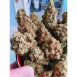 holy-smoke-seeds-strawberry-cane-feminized-cannabis-strain