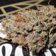 super-silver-mandarin-female-weed-cannabis-seed-ultra-genetics_1_1