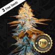 strawberry-glue-thseeds-weed-strain