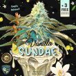 vanilla-sundae-cannabis-seed-th-seeds
