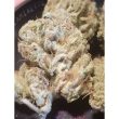 purple-cream-zmoothiez-seedbank_1_