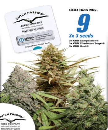 CBD Feminised Mix (Dutch Passion Seeds)