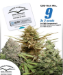CBD Feminised Mix (Dutch Passion Seeds)