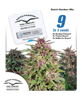 Dutch Outdoor Mix (Dutch Passion Seeds)