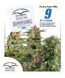 Fruity Auto Mix (Dutch Passion Seeds)