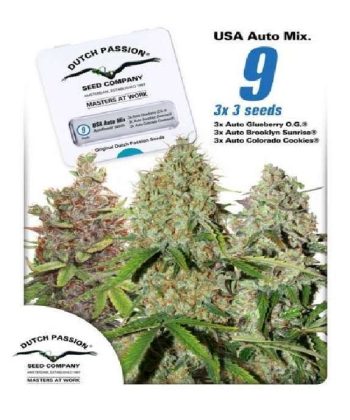 USA Autoflower Mix (Dutch Passion Seeds)