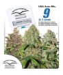 USA Autoflower Mix (Dutch Passion Seeds)