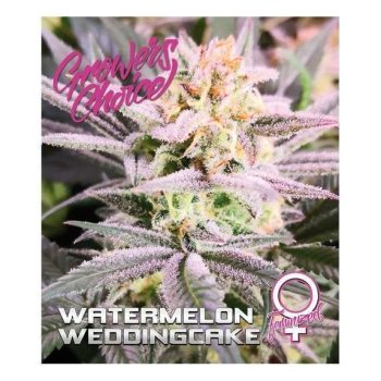 Watermelon Wedding Cake (Growers Choice Seeds)